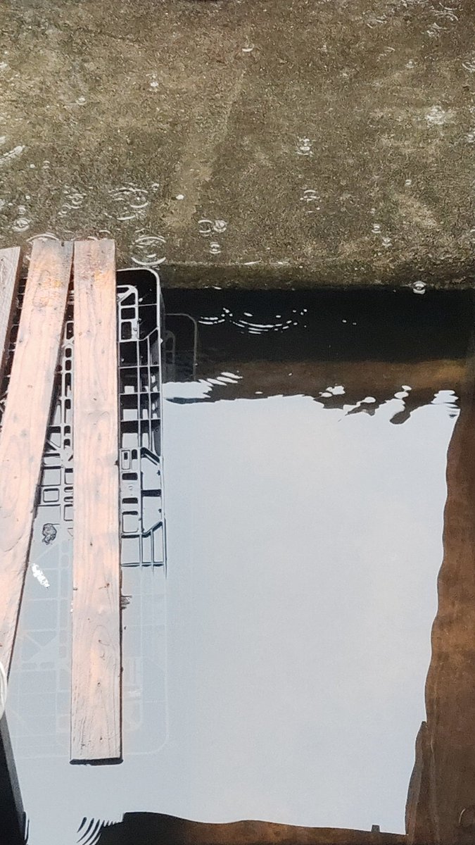 SeimaKun1's tweet photo. 僕の家が今、洪水で浸水してるんだ
それがちょっと悪い知らせかな
しばらく投稿できないかもしれないけど、水位が早く元の状態に戻ってくれるといいな https://t.co/EtHwzpcLe3