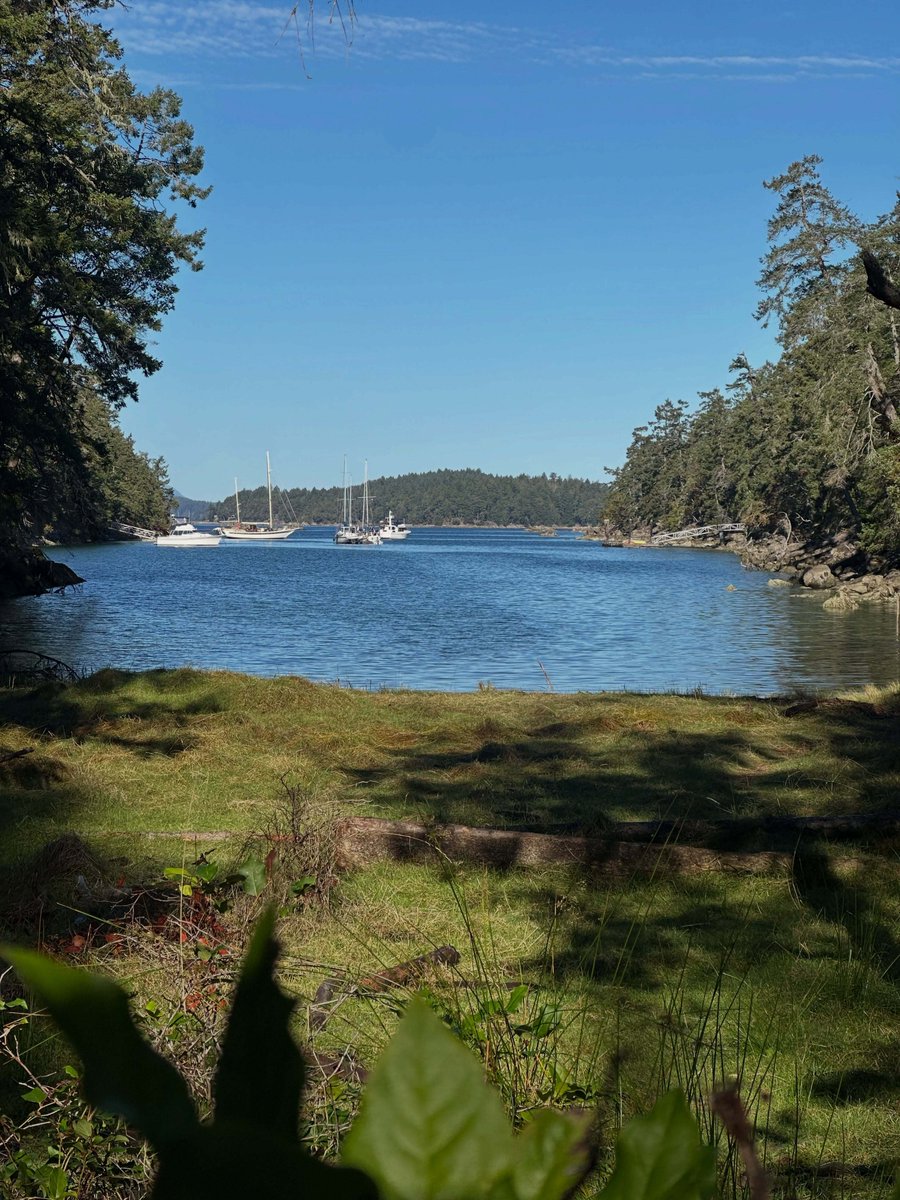 FindingSimon's tweet photo. First time stern tying for the night. We carved our first name plaque at Conover Cove and spent the night watching Fifth Element on the projector eating Lingcod Curry and Chocolate Icecream. Feels like a great way to usher in a lifetime of sailing on Per… https://t.co/FkWAJx2STt https://t.co/o0aU3a4BzM