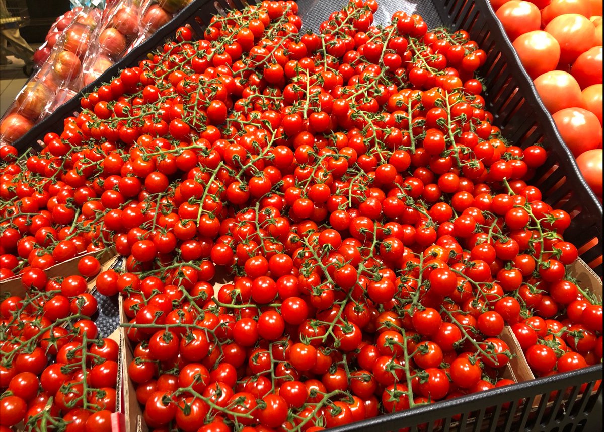 DonellaE4u7's tweet photo. Tomates cherry ecológicos de mercado local: jugosos, dulces y sin residuos de pesticidas, perfectos para ensaladas o snacks. 10/10 para sabor y calidad!， https://t.co/jVfl3CNtvm