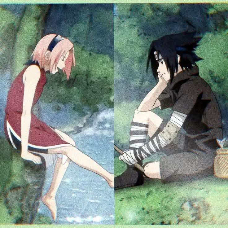 mayawsp's tweet photo. cuties https://t.co/F8MqdikT8q