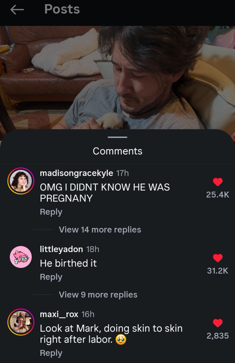 _engineerPlier_'s tweet photo. I'm crying not people in the comment section saying Markiplier gave birth 😭 https://t.co/B93xC1x50L