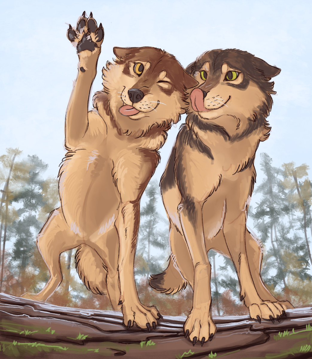 katomium's tweet photo. wolfies https://t.co/s0VCwJYfTm