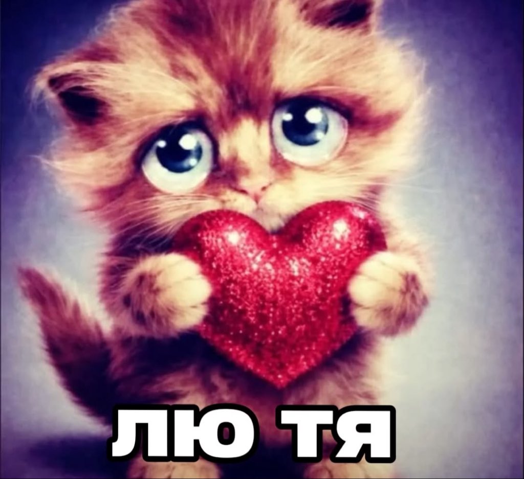 dashmeee1's tweet photo. @lunebtdw https://t.co/9tGEVipU98