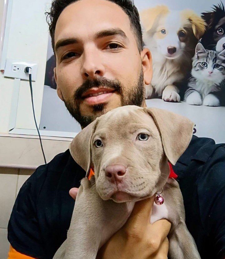 Libertad12021's tweet photo. 🇨🇺 Libertad para Roberto Ponce Valdespino, veterinario  recientemente detenido por participar en la protesta de Fontanar en La Habana. Su único delito fué protestar pacíficamente por no tener electricidad. No lo podemos dejar solo. Exijo su liberación inmediata. https://t.co/jfMTCWUiCD
