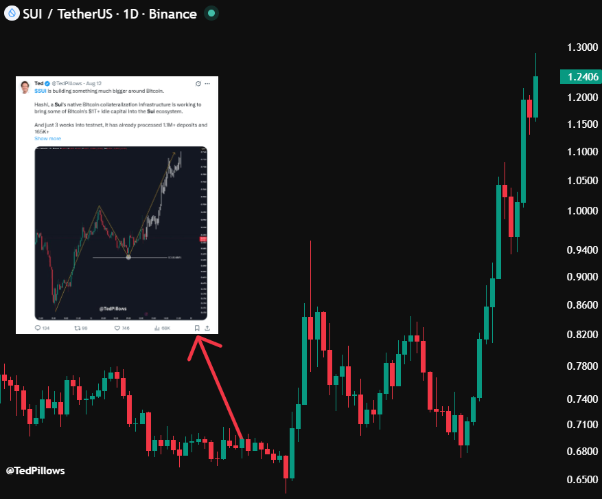 TedPillows's tweet photo. $SUI has rallied 80% since this post.

Don't fade my analysis. https://t.co/4vWBxCYuSd