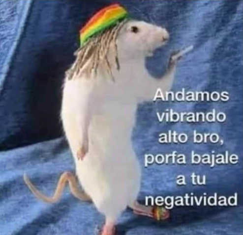 fabianctf8's tweet photo. si plissss https://t.co/xexcmJPfcE