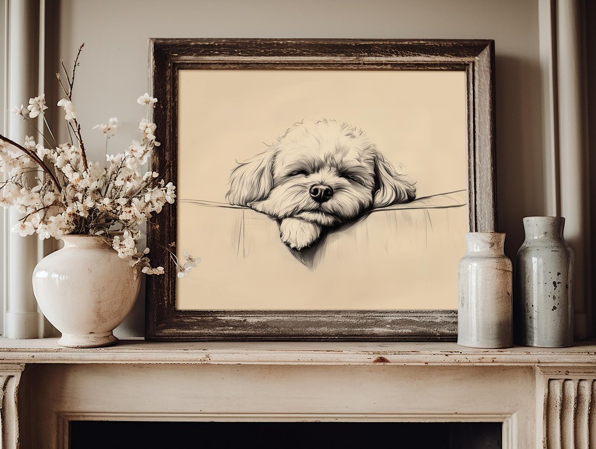 KellyGilmodk's tweet photo. Transform your space with timeless charm through this vintage Bichon Frise portrait sketch. Its rustic elegance adds whimsy to cozy living rooms or serene studies, making it a delightful gift for anyone who adores their dog. https://t.co/I8wFrpPcMp