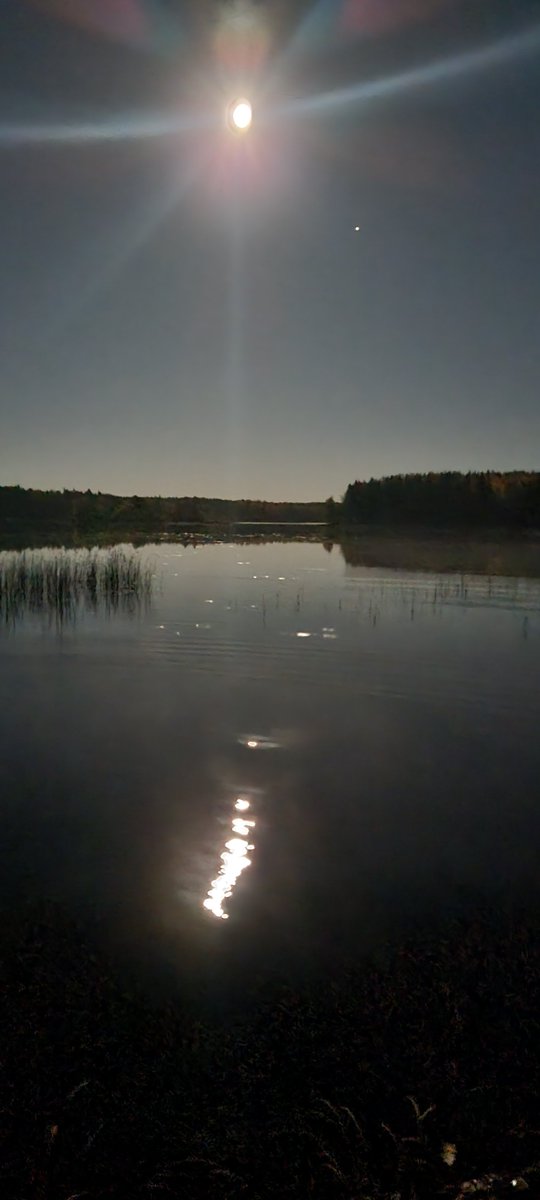 LaveScenery's tweet photo. @AbiRatchford I'm at the cottage, and right now I'm by the lake, with only the campfire and the moon for company, and absolute peace around me, I'm frying sausage, the silence is broken only by the calls of swans echoing across the lake 😊 https://t.co/46cr9AGP1W