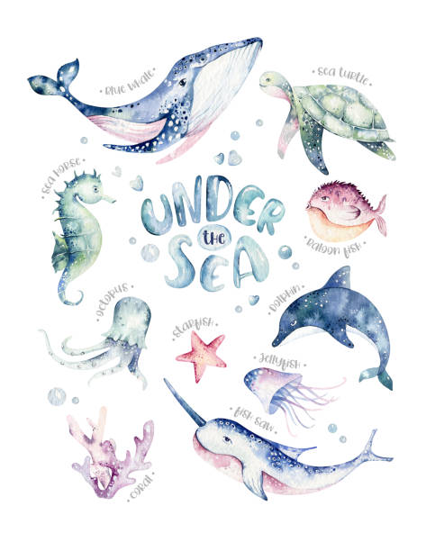 zbzidwd's tweet photo. 自然の中で🐱🐕 https://t.co/mWbY9wkXNQ