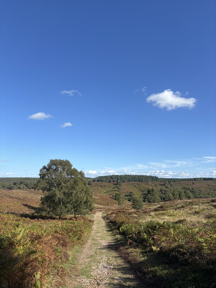 NWal5h's tweet photo. Walked a few trails this weekend https://t.co/xwurf62P9v