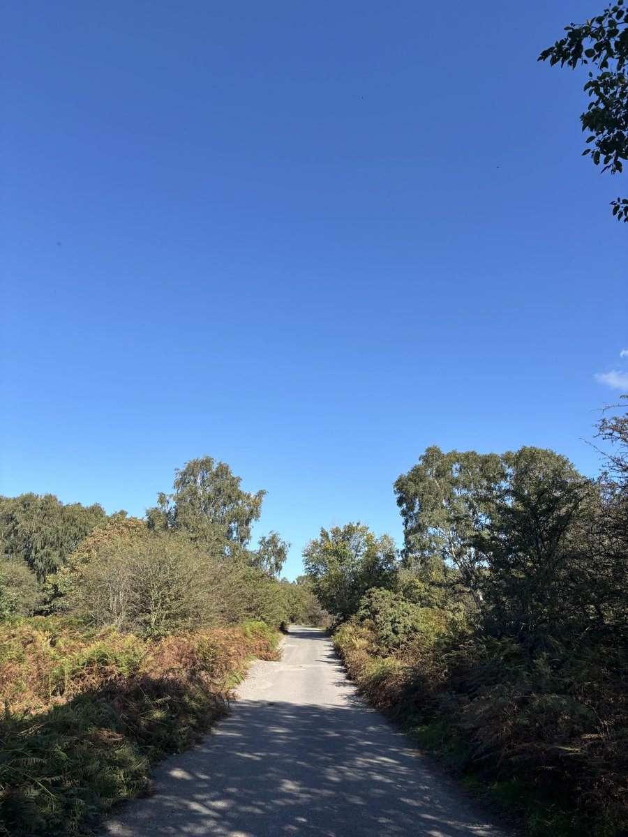 NWal5h's tweet photo. Walked a few trails this weekend https://t.co/xwurf62P9v