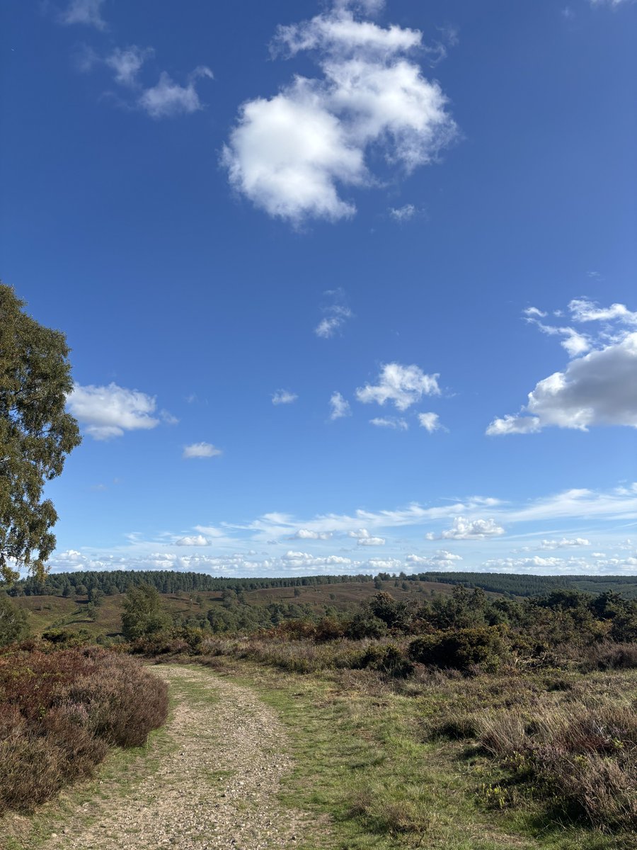 NWal5h's tweet photo. Walked a few trails this weekend https://t.co/xwurf62P9v