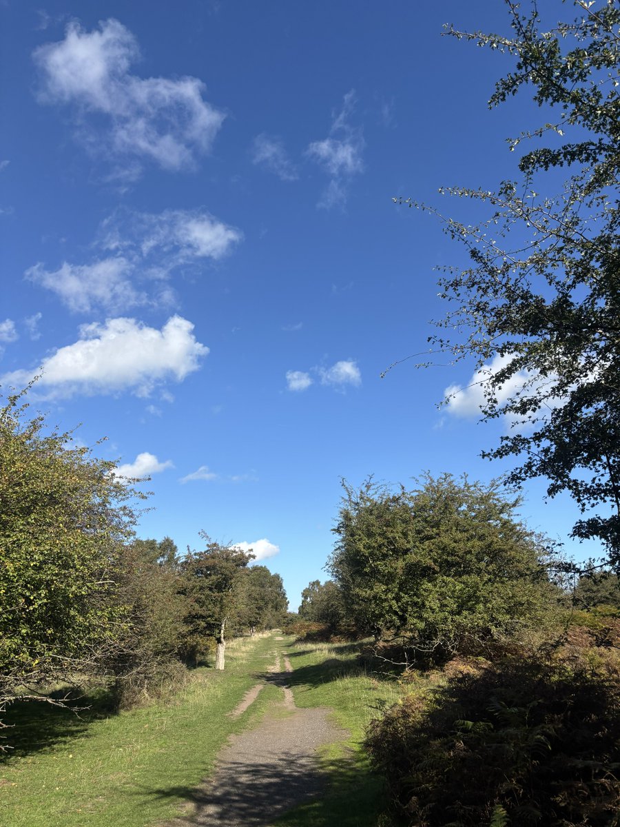 NWal5h's tweet photo. Walked a few trails this weekend https://t.co/xwurf62P9v