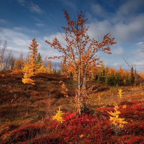 LeilaLundstrom's tweet photo. Lapin ruskaa ๐โ
๏ธ๐๐
#September #SeptemberSundays https://t.co/V4hFrmybqK