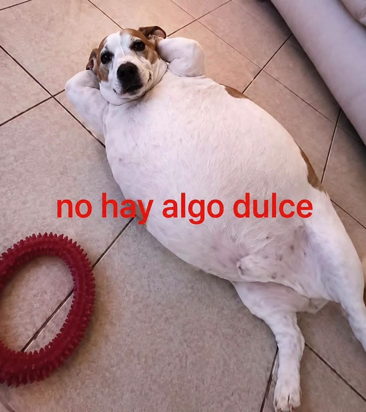 Tekivocas's tweet photo. Yo al toque https://t.co/3W2QNGpW22