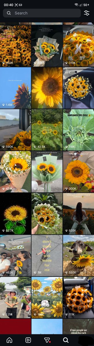 ramvxx's tweet photo. my ig explore 🌻💛 https://t.co/ZHYWNSYHmA