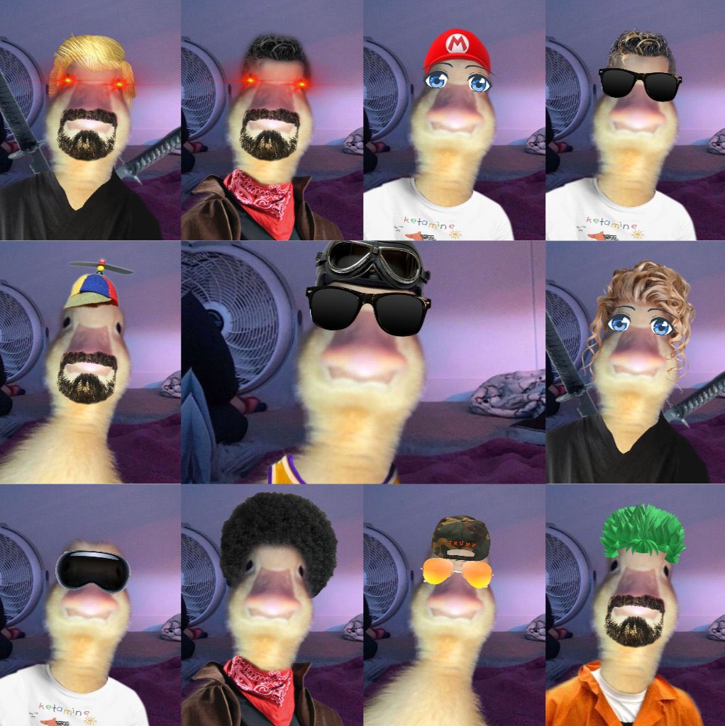 harold_onsol's tweet photo. Harold's number one mission is to spread via PFP and moving as a flock.

Join the party, grab a PFP (or make your own) and start posting.

Join the GC to get some help making ur PFP and other harold memes!
https://t.co/6wyP8wCPth https://t.co/zO82ZhSsGy