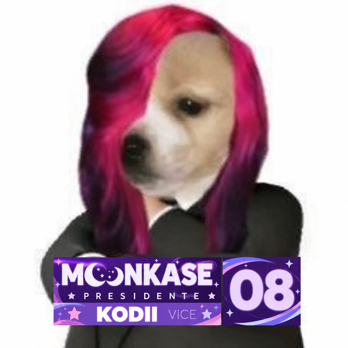 ItsNanaykase's tweet photo. MEU VOTO É NELA 

MOONKASE 08

#Moonsidenta https://t.co/BcvHX0y2zJ