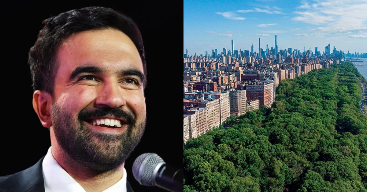 DemzDeliver's tweet photo. 🚨 Zohran Mamdani has planted over 18,000 trees in NYC, the most in a decade.

The trees will bring cleaner air and prevent flooding. https://t.co/tFjueWrPb8