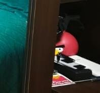 LuSHBdibujitos's tweet photo. Cangri bird viendo tu normiada https://t.co/f67DVmEQzm