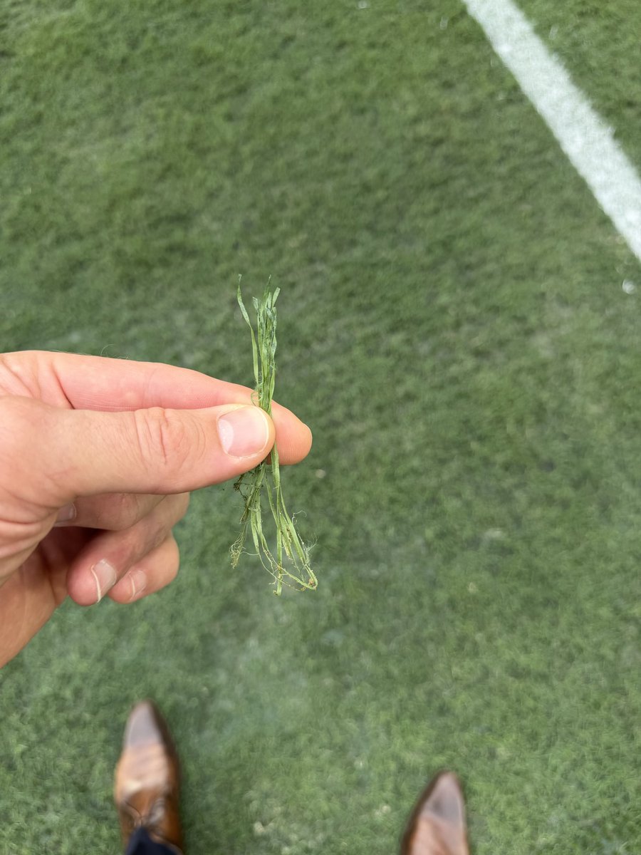 JJWatt's tweet photo. I’m giving the field the benefit of the doubt until we see reason not to, once the players are on it.

But I will present real photos I just took.

1st Photo: The 10 yard line, between the hashes.

2nd Photo: A sample of the artificial turf plugs threaded into the field. https://t.co/PDOg3uTTFx