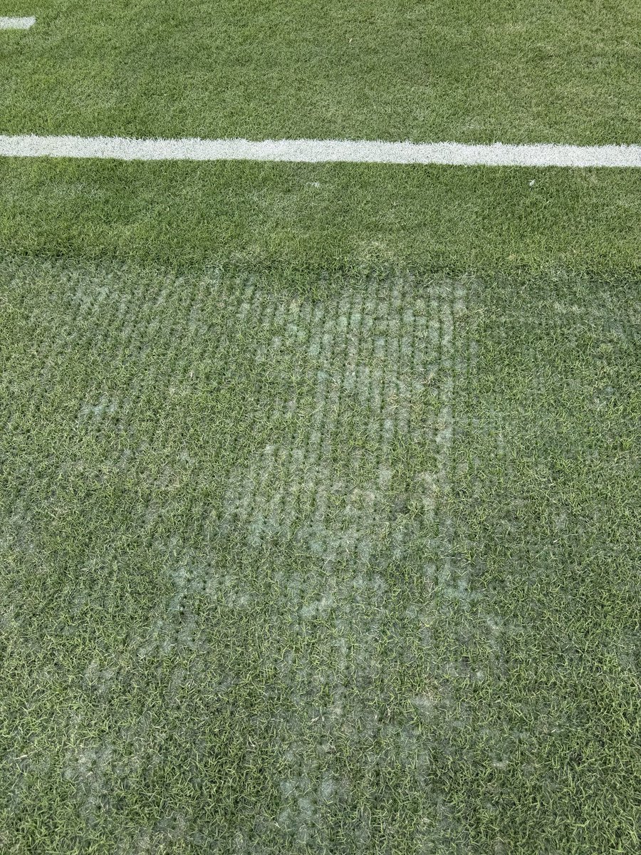 JJWatt's tweet photo. I’m giving the field the benefit of the doubt until we see reason not to, once the players are on it.

But I will present real photos I just took.

1st Photo: The 10 yard line, between the hashes.

2nd Photo: A sample of the artificial turf plugs threaded into the field. https://t.co/PDOg3uTTFx