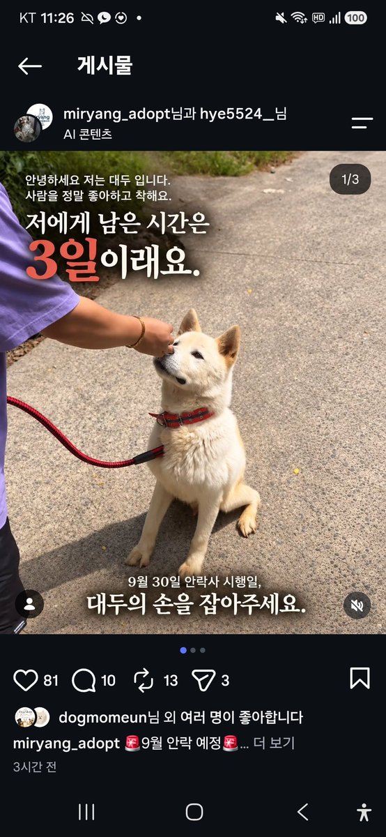 animalrtaccount's tweet photo. 대두 안락사 30일입니다
입양문의 없어요 
알티급해요
입양문의: 010.2527.3490
9/30 밀양시안락사 https://t.co/hG5rqigsfI