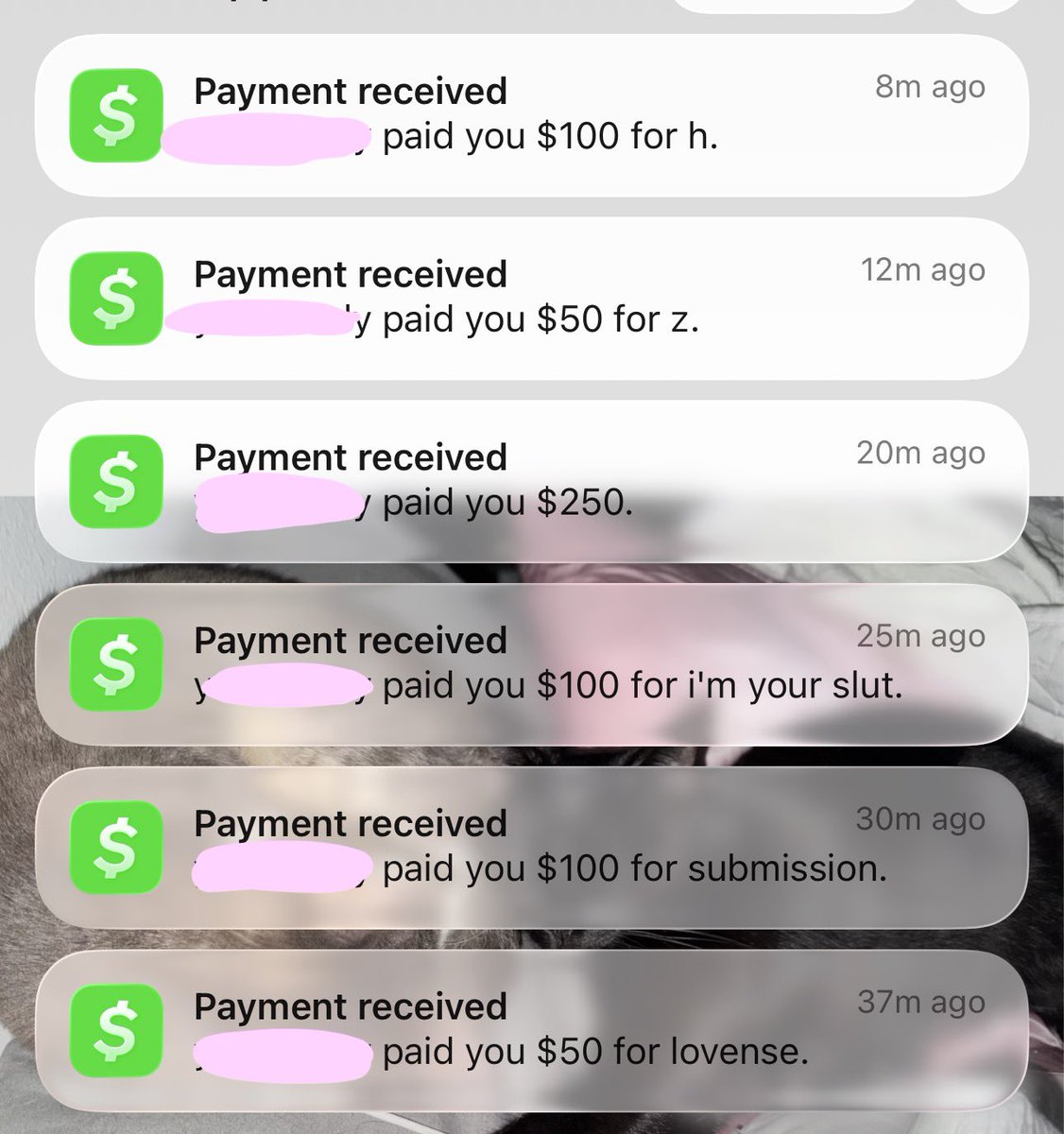 lolfinbrat's tweet photo. Hot girls wake up and this happens https://t.co/pPzK04zuhJ