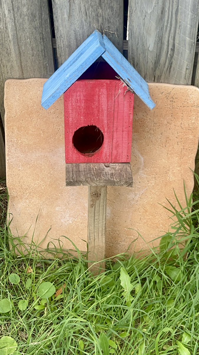 Itsphebeats's tweet photo. Iโm going to have to upgrade my #birdhouse๐กfor next year. Going to go bigger and add some trinkets for them and a bird feeder. ๐จ๐พโ๐พ๐ฆ๐ค๐ฆ๐ง #itsPhe #diy #garden #gardening https://t.co/r7mgs2OOBA