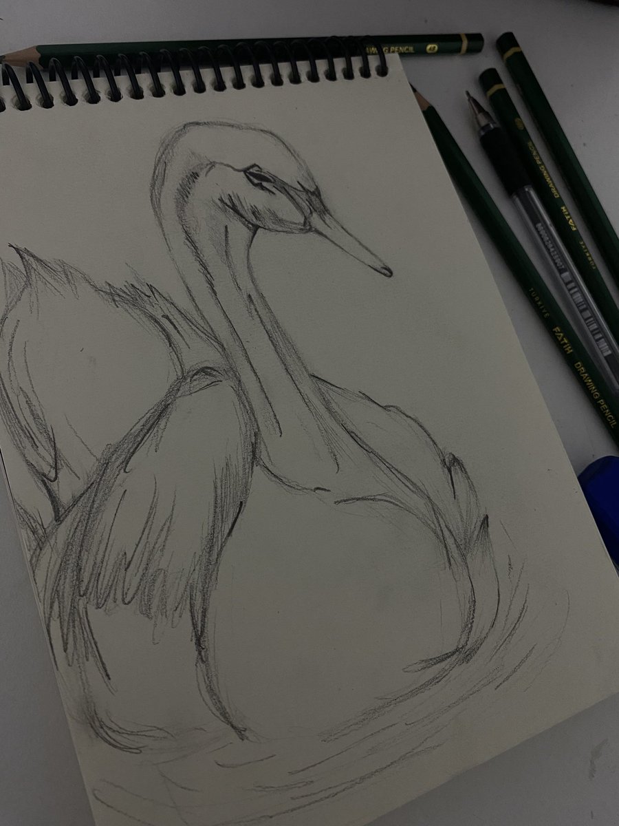 ssarahpie's tweet photo. 🦢 https://t.co/1Yp2f1Jtzp