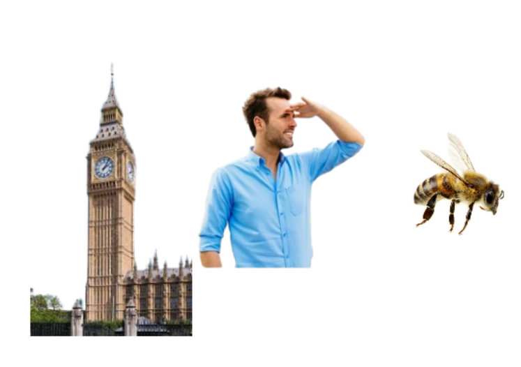 Tweet Image