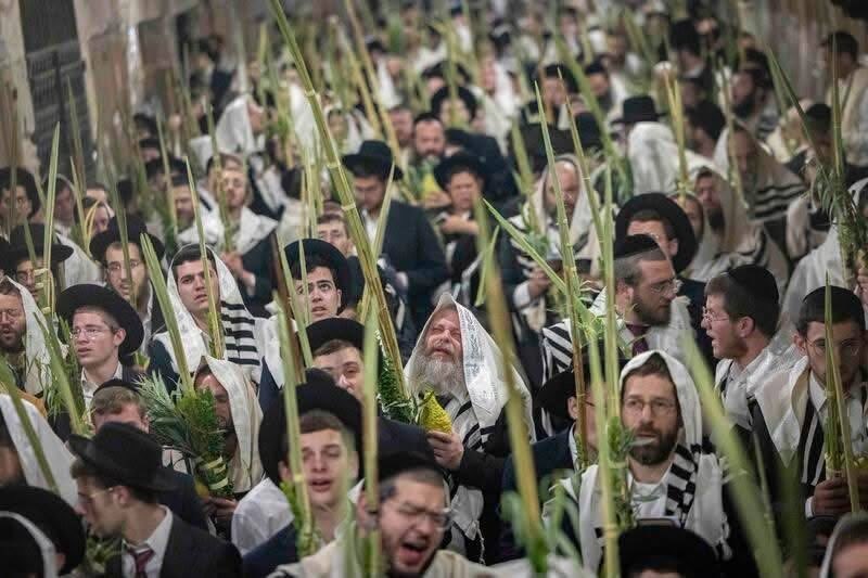 bitcoins1stlady's tweet photo. Hundreds of demonic israeli settlers perform rituals while marching through the Qattanin Market in occupied #Jerusalem's Old City, leading to Al-Aqsa Mosque, after forcing Palestinian shop owners to close their businesses. https://t.co/DUCEIWio9i