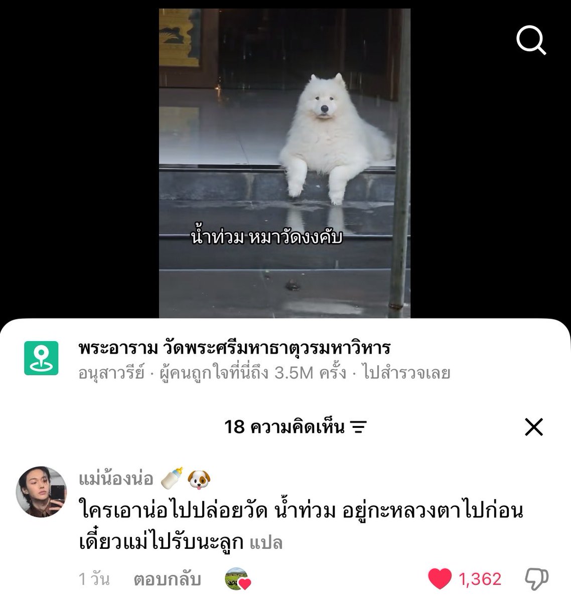 jjaeminmamine's tweet photo. แม่โน่เอาอีกแล้ว55555555555555 https://t.co/fI23oWAli6