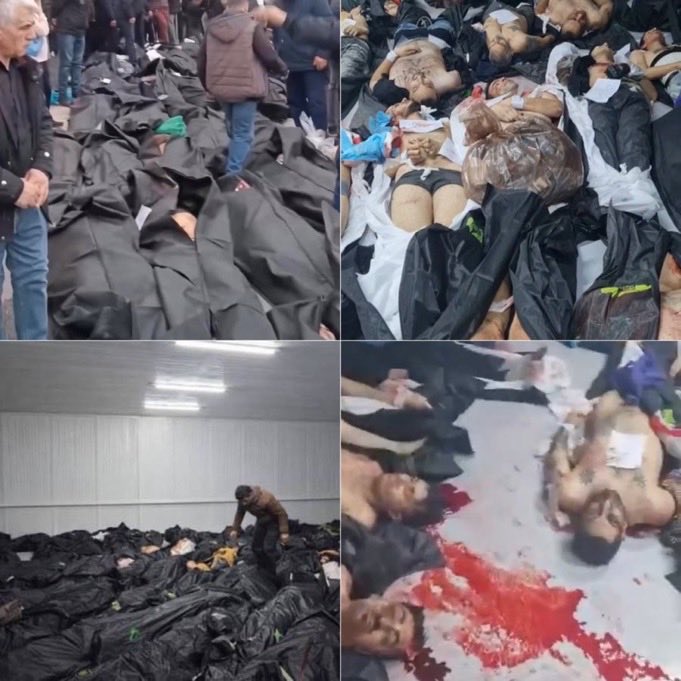 KathyMobarez's tweet photo. @PahlaviComms Down with the terrorists regime in Iran 
#IranMassacre‌2026 
#KingRezaPahlavi‌ForIran https://t.co/i69rIqUaiQ