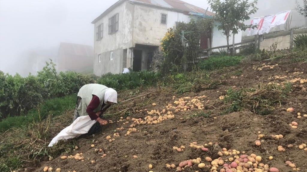 burasigiresun's tweet photo. https://t.co/3JW7uNJooL https://t.co/c1GIJ3at4E