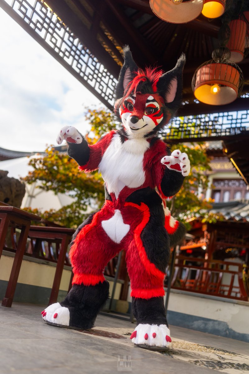 ErosFennec's tweet photo. A fox!? In my temple!? Glory to the kitsune~ https://t.co/DpcjMasW3L