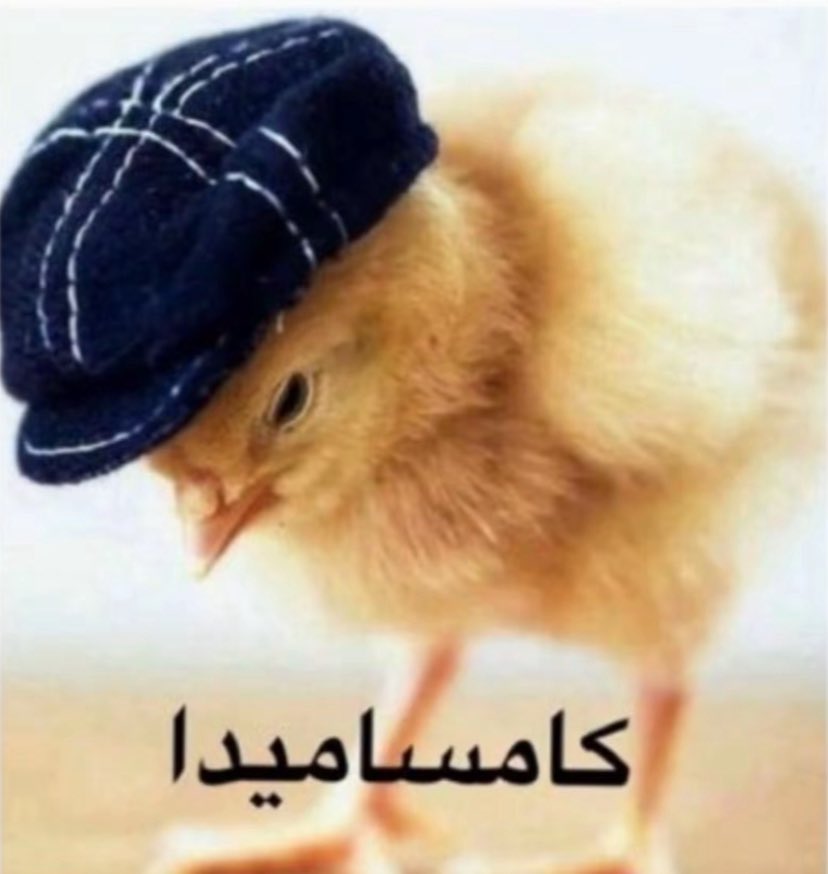 4f3on's tweet photo. وصلت اول مئويه شكرا لجميع المتابعين 🤍 أنا مدري ليش ضفتوني بس شكرا https://t.co/8zCrTu4bmt