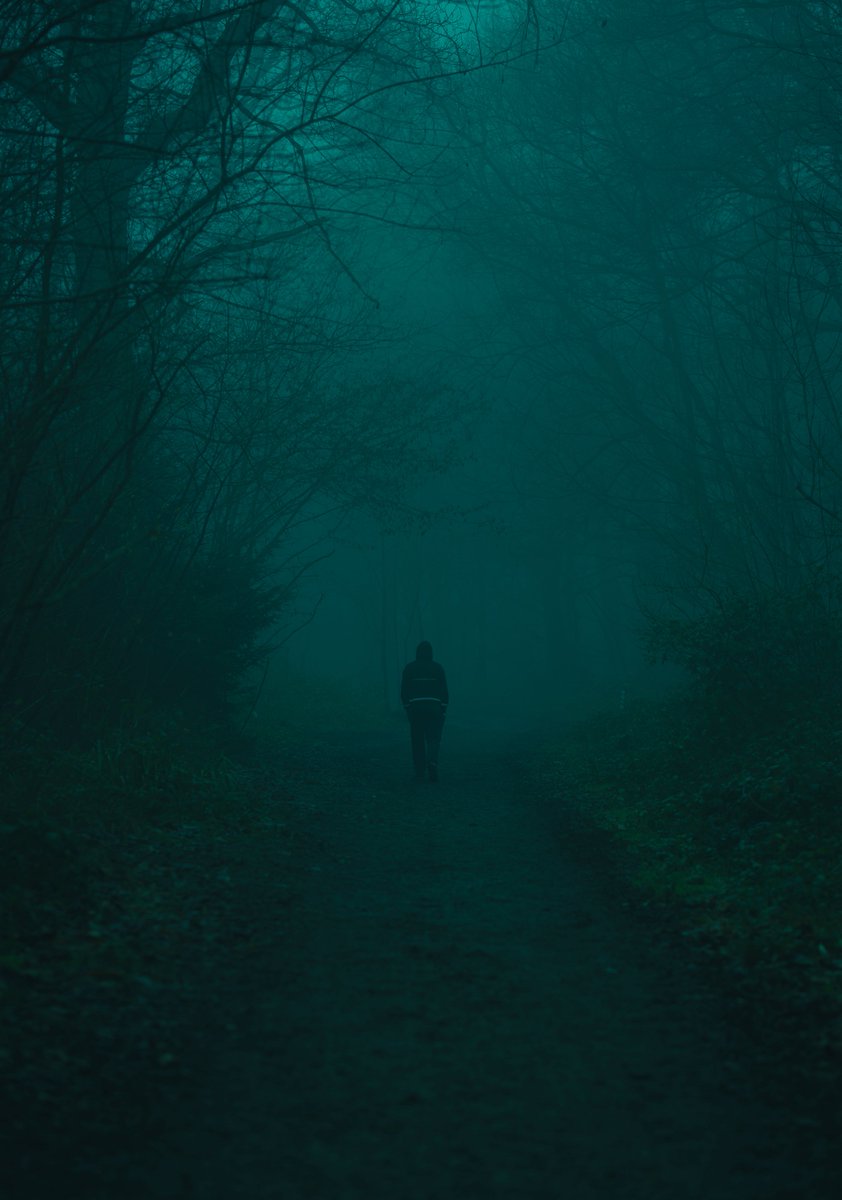 zosphotos's tweet photo. The forest in my favourite colour https://t.co/4XywkROBWf