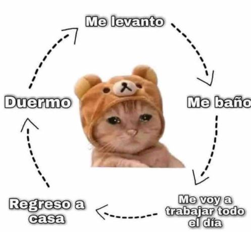 borjajascano's tweet photo. https://t.co/vA3dqYVUFl