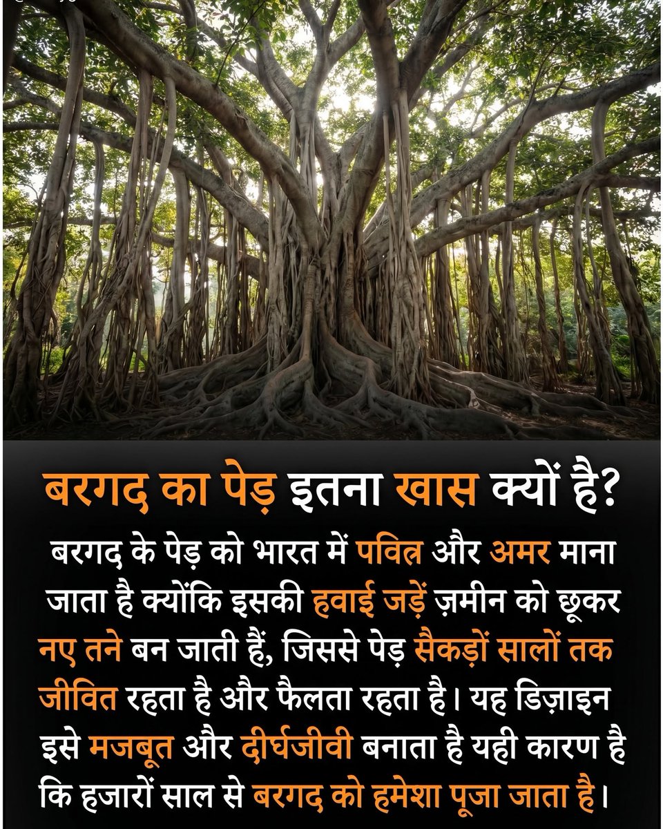 brunootavio7's tweet photo. हर दिन हैरान कर देने वाले ज्ञानवर्धक तथ्य, इतिहास के रहस्य और दुनिया की अनसुनी सच्चाइयाँ जानने के लिए अभी फॉलो करें @Armygirl https://t.co/YOqKL0jOaN