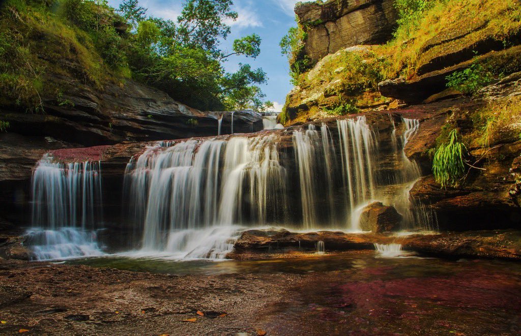 alejocalder0n's tweet photo. En el día internacional de los ríos, uno de mis favoritos. Caño Cristales, Serranía de la Macarena. Meta, Colombia. https://t.co/Zk02Km9NS1