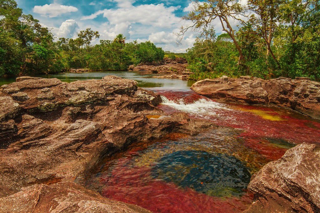alejocalder0n's tweet photo. En el día internacional de los ríos, uno de mis favoritos. Caño Cristales, Serranía de la Macarena. Meta, Colombia. https://t.co/Zk02Km9NS1
