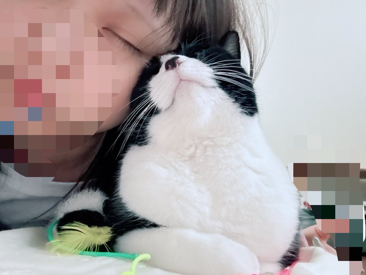 bunny_rabibi's tweet photo. 甘えんぼうの可愛い子ちゃん https://t.co/tYqZKQFVwQ