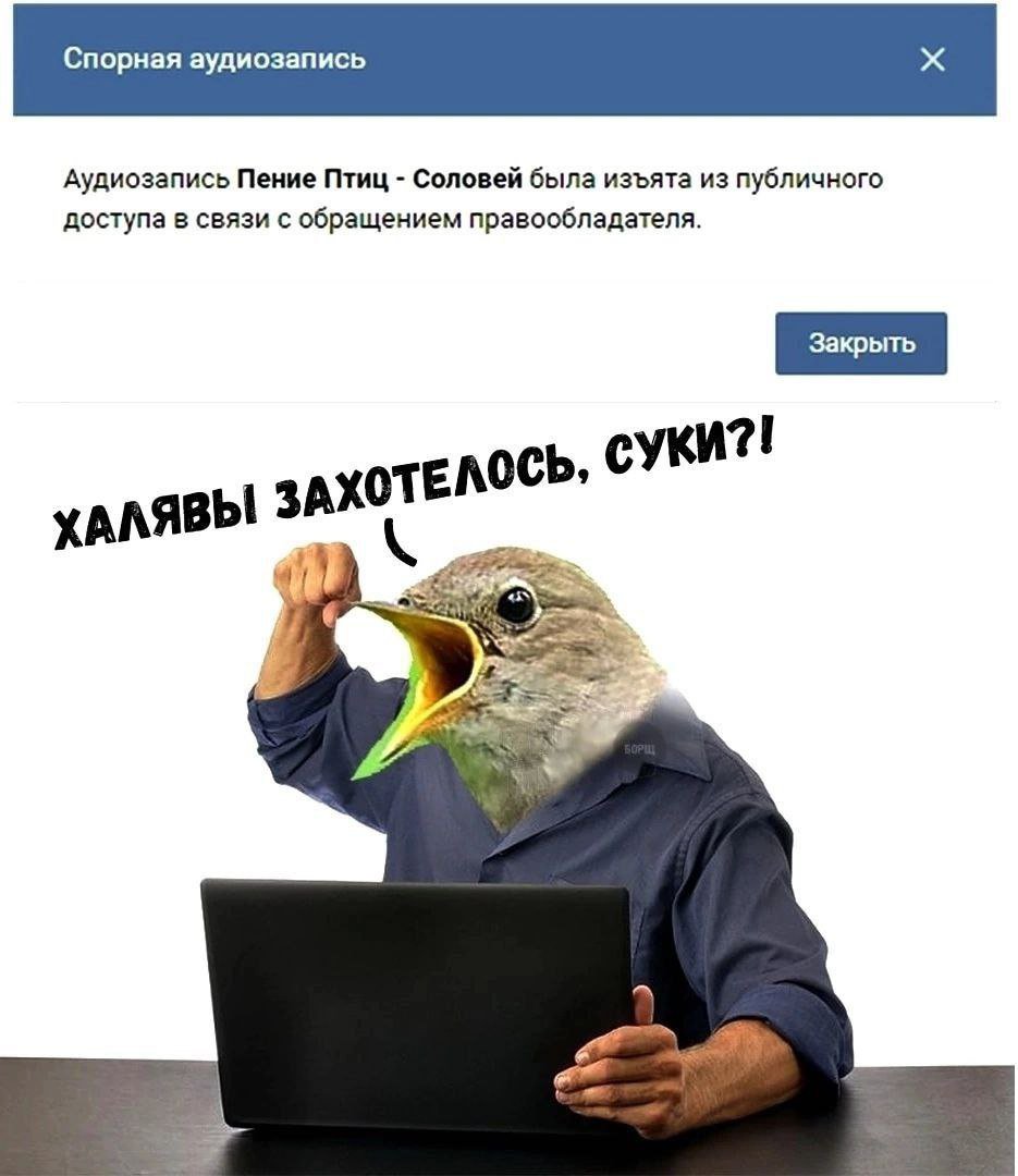 vatuvban55's tweet photo. Ибо нефиг https://t.co/FsdCcY3B7Q