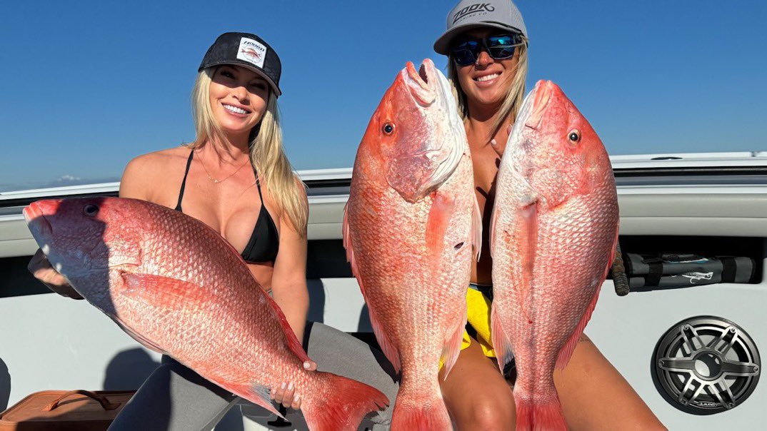 fishwithbritt's tweet photo. Let’s explore some offshore fishing 🎣 trip cute smiles 🤗getting back stronger and better with my colleague sharing the experience with me 🐟
#britt #brittany #tareco #fish #fishing #trip #fishmonger #Redsnapper #hooks #hooksdcharter #charter #offshore #inshore #bookings https://t.co/utmn7XfWbC