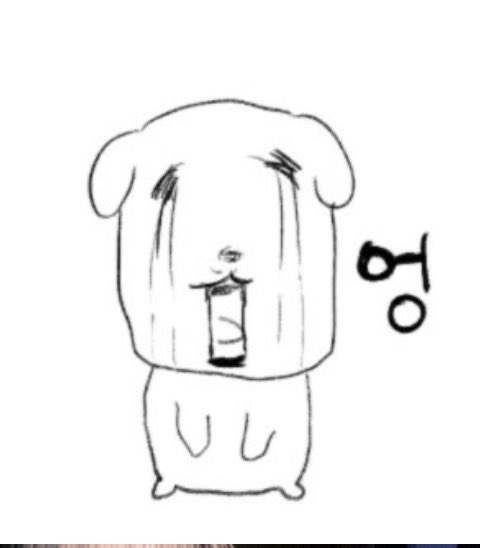 sansg738's tweet photo. 하.......................... 배가부르다풍족해 https://t.co/xia51r0i3R