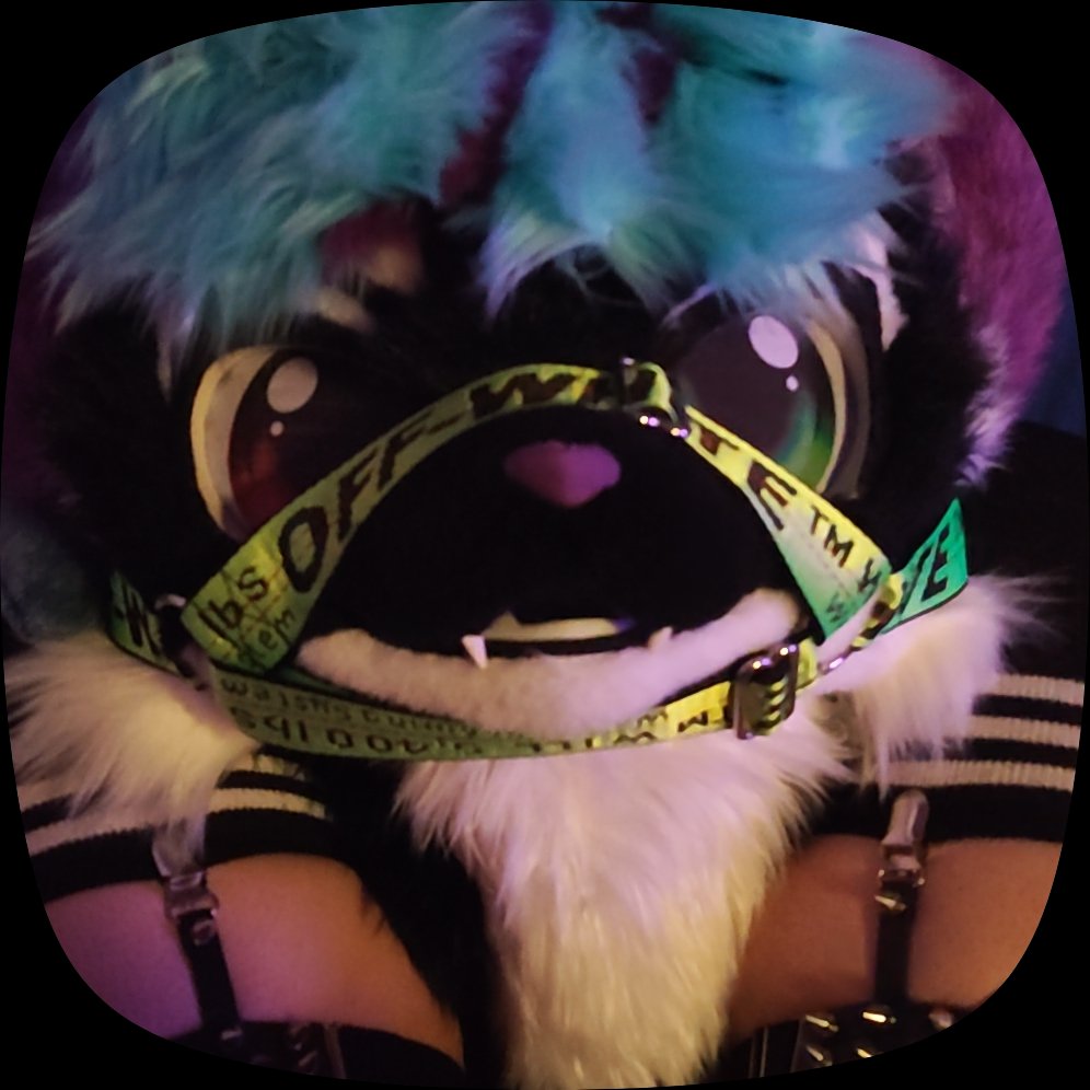 luce_163_'s tweet photo. Chillin'. https://t.co/dpZVqwcfky