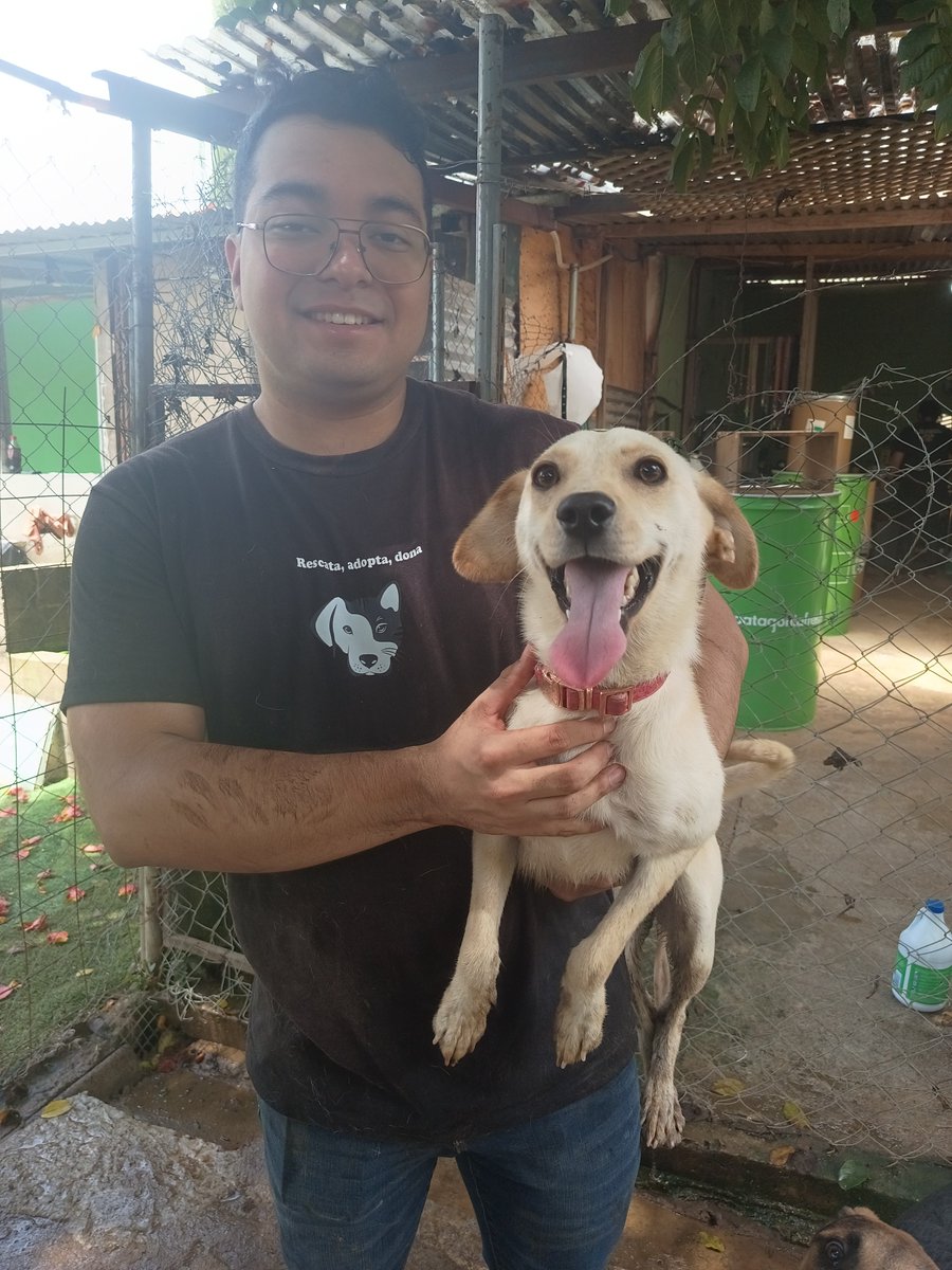 guatexanimales2's tweet photo. Nadie nos escribió para adopciones pero llegamos varios voluntarios a llevarles felicidad, paseos y amor .
#voluntarios https://t.co/YdqhDRwWjO