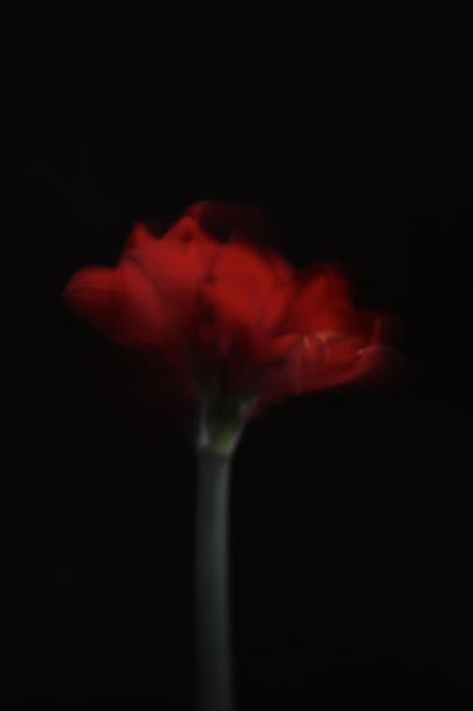 VincentOrtya5's tweet photo. المحتوى إنه البيرة! شكرا لتبديل الجيد. من دواعي سروري تبادل المحتوى الخاص بك هو مطبق إلى حد كبير. شكرًا لك! bernardina mcever🚴 https://t.co/eJc2azvvtU