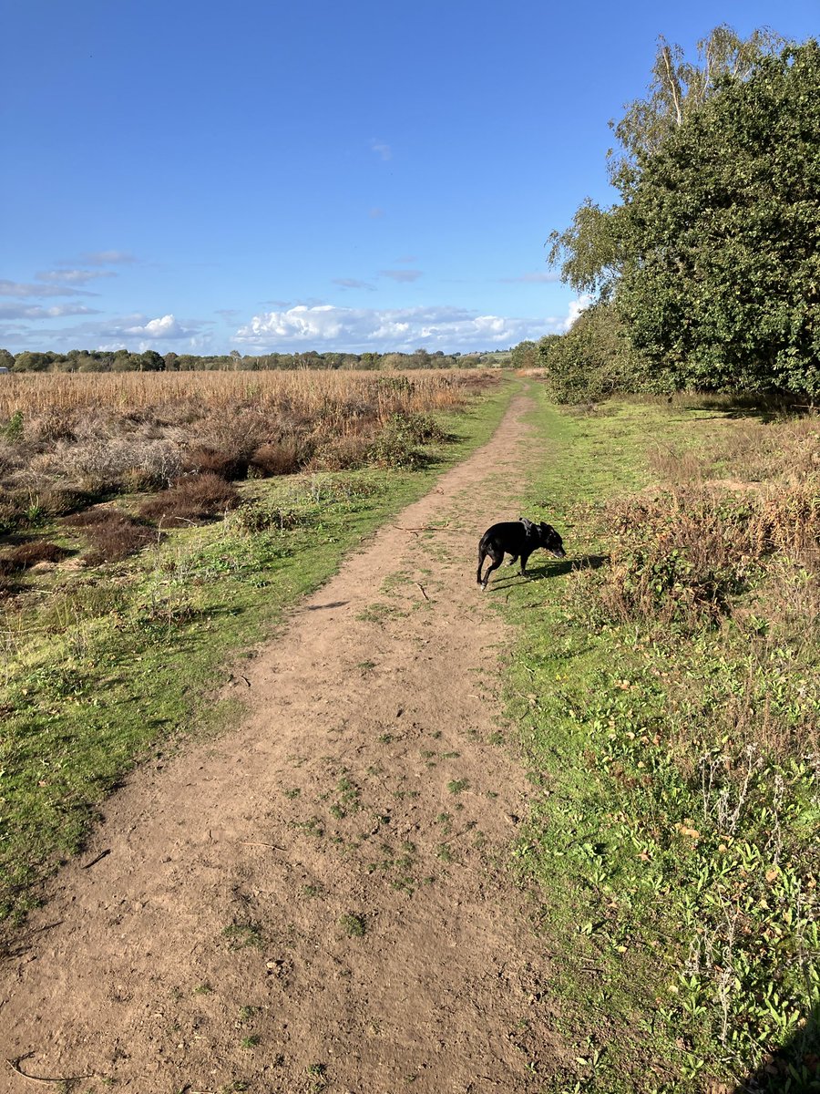 KateKnighting's tweet photo. #NHS1000miles 23 last week and 20 this week. Some enjoying yesterday’s sunshine at the local butterfly moss. Same walk but one photo through sunglasses by my daughter who is experimenting with photography. Looking forward to seeing everyone’s photos. Have a good week 😊 https://t.co/ReNfQhwPir